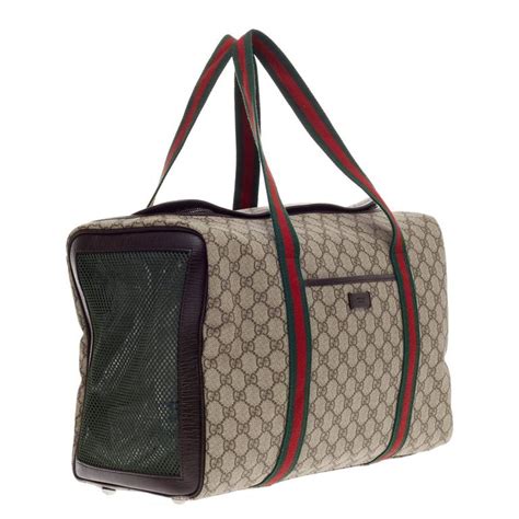 dog carrier gucci|gucci tote with cat.